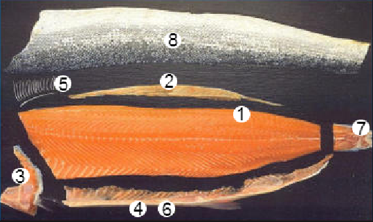TRIM E1.png